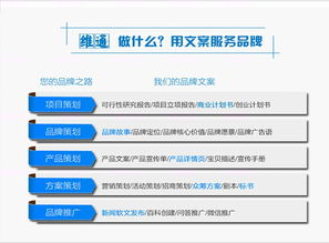創(chuàng)業(yè)融資實務指南 從商業(yè)計劃書到項目落地