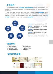 一頁盡覽，實力呈現(xiàn) 企業(yè)單頁設計與DM策劃的藝術